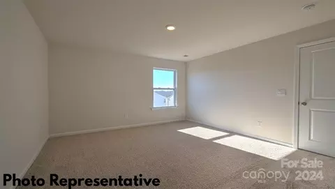 35 Dandelion Rd, Fletcher, NC 28732 photo 18