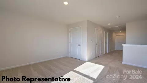 35 Dandelion Rd, Fletcher, NC 28732 photo 14