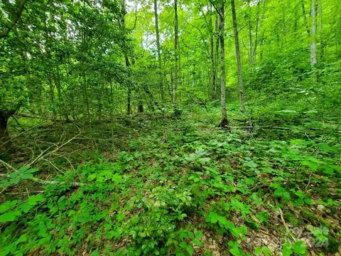 10 Mountain Blue Rd, Tuckasegee, NC 28783