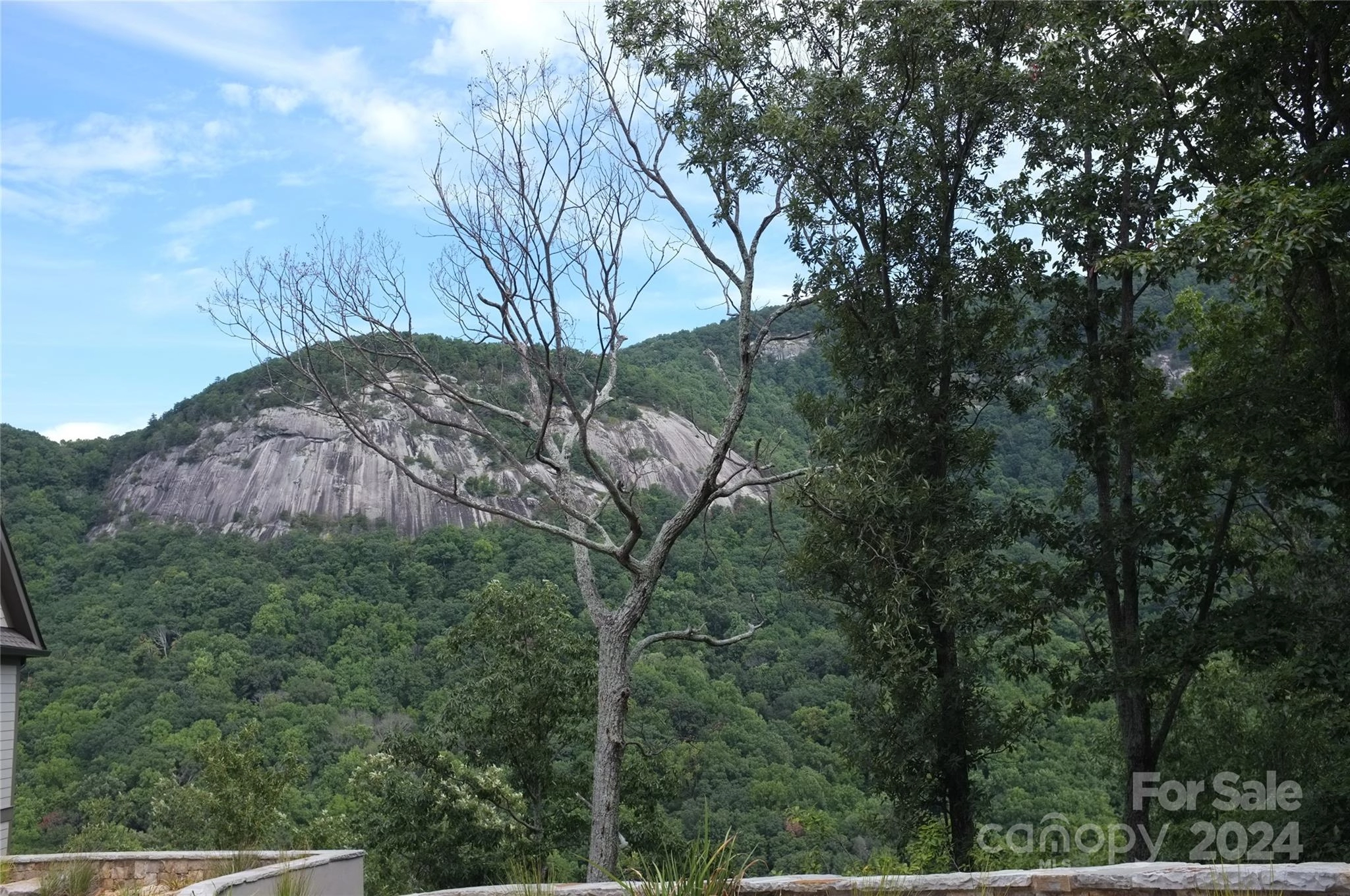 293 Foggy Cut 171 Ln Unit 171  