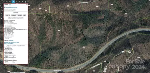 Mt Ida Drive, Marion, NC 28752 photo 4