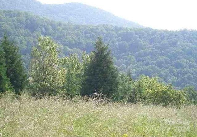 320 Foggy Cut 184 Ln Unit 184  