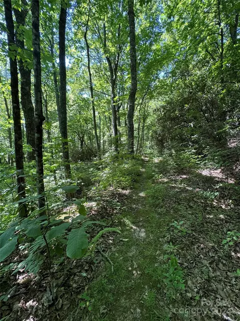 00 Rugged Top Rd, Hendersonville, NC 28792