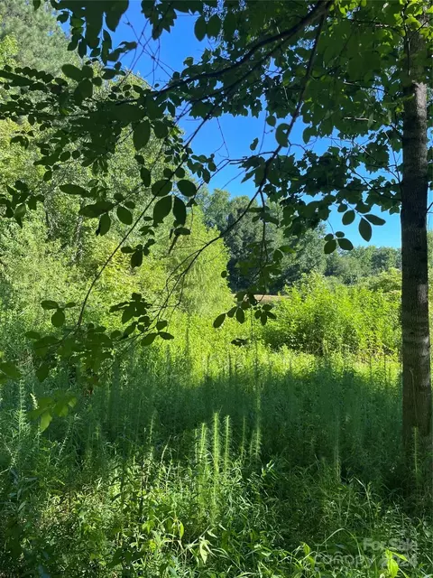 Coy Road, Biscoe, NC 27209 photo 5