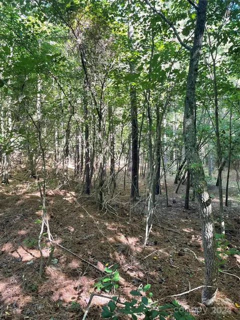 Coy Road, Biscoe, NC 27209 photo 4