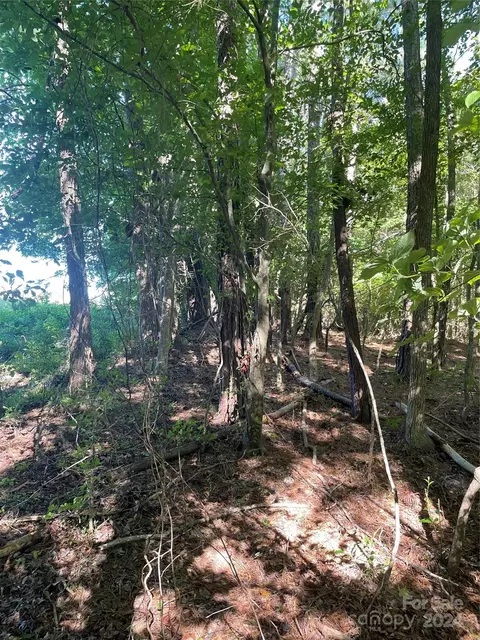 Coy Road, Biscoe, NC 27209 photo 6