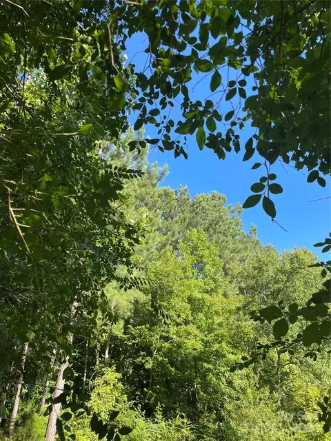 Coy Road, Biscoe, NC 27209 photo 7