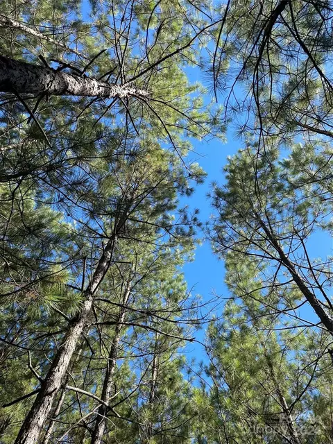 Coy Road, Biscoe, NC 27209 photo 8