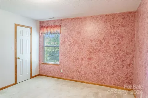 179 Fowler Ln, Clyde, NC 28721 photo 13