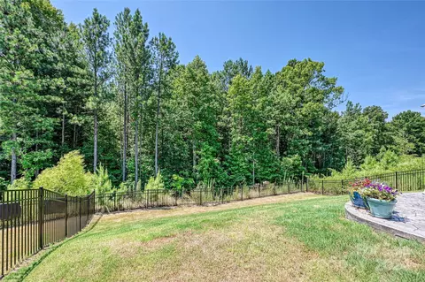 3176 Treyson Dr, Denver, NC 28037 photo 31