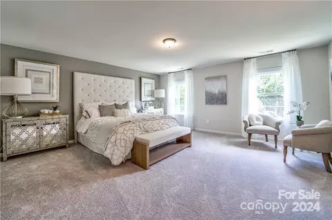 5514 Soft Shell 413 Dr #413, Lancaster, SC 29720 photo 11