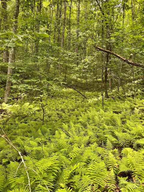 25 Rainbow Trout 25 Dr #25, Tuckasegee, NC 28783