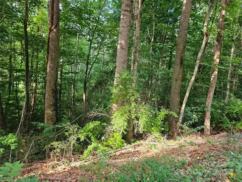 00 General Griffith 31 Cir #31, Rutherfordton, NC 28139
