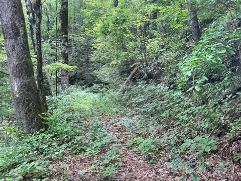 00 Eastatoe Gap 52 Rd #52, Rosman, NC 28772