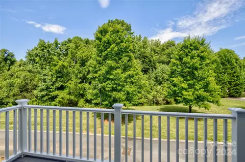 1104 Drayton Ct, Fort Mill, SC 29708 photo 20