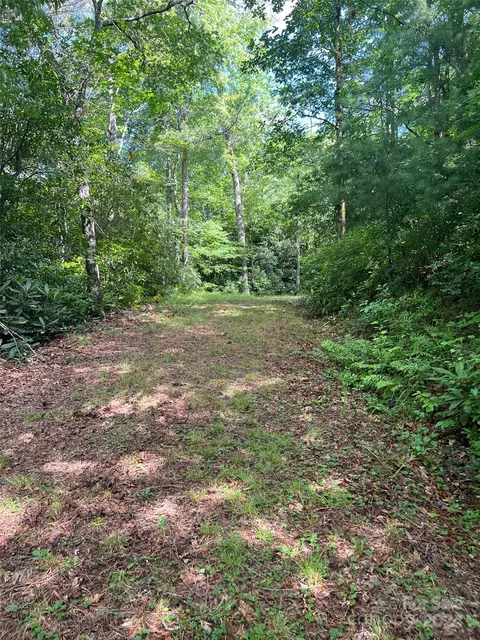 667 Laurel Thicket Ln, Brevard, NC 28712 photo 22