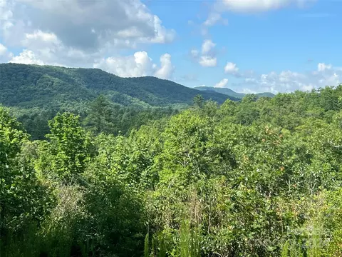667 Laurel Thicket Ln, Brevard, NC 28712 photo 9