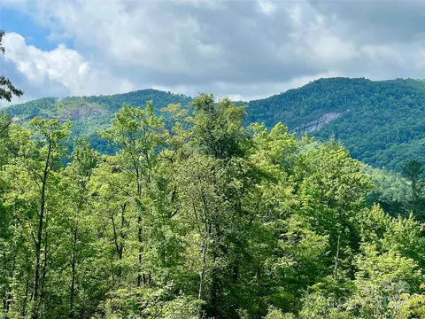 667 Laurel Thicket Ln, Brevard, NC 28712 photo 24