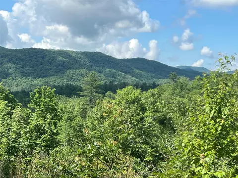 667 Laurel Thicket Ln, Brevard, NC 28712 photo 11
