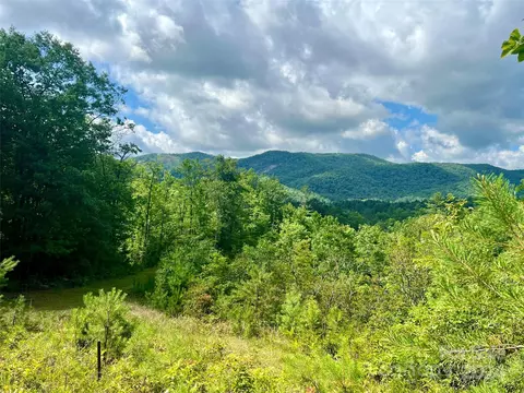 667 Laurel Thicket Ln, Brevard, NC 28712 photo 5