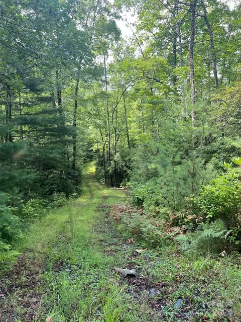 667 Laurel Thicket Ln, Brevard, NC 28712 photo 19
