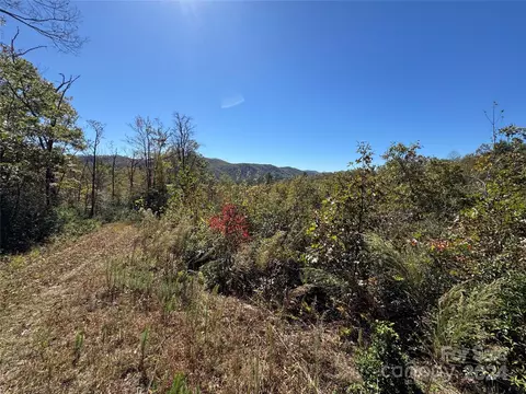 667 Laurel Thicket Ln, Brevard, NC 28712 photo 27