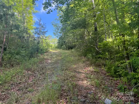 667 Laurel Thicket Ln, Brevard, NC 28712 photo 18