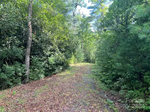 667 Laurel Thicket Ln, Brevard, NC 28712 photo 21