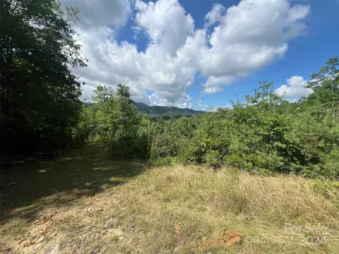 667 Laurel Thicket Ln, Brevard, NC 28712 photo 13