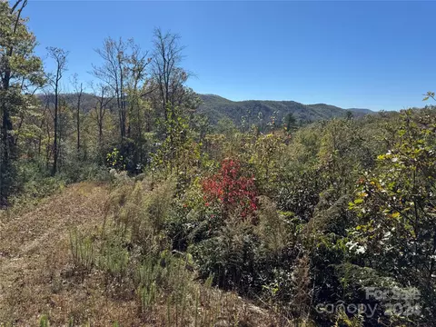 667 Laurel Thicket Ln, Brevard, NC 28712 photo 26
