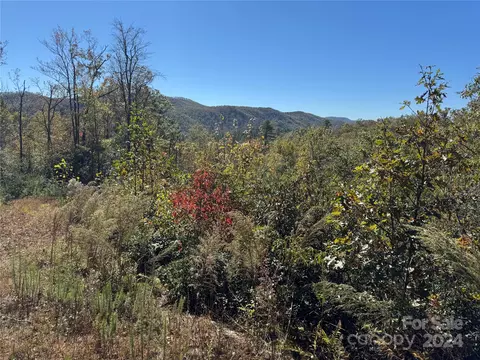 667 Laurel Thicket Ln, Brevard, NC 28712 photo 3