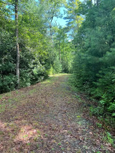 667 Laurel Thicket Ln, Brevard, NC 28712 photo 14
