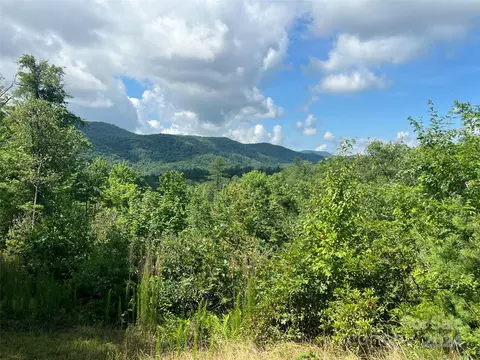 667 Laurel Thicket Ln, Brevard, NC 28712 photo 12