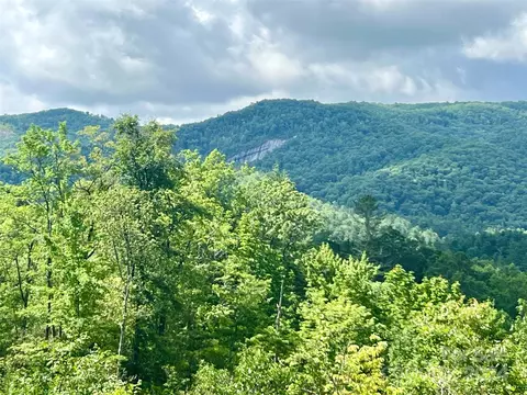 667 Laurel Thicket Ln, Brevard, NC 28712 photo 6