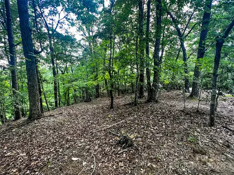 00 Whitney Lot 124 Blvd #LOT 124, Lake Lure, NC 28746