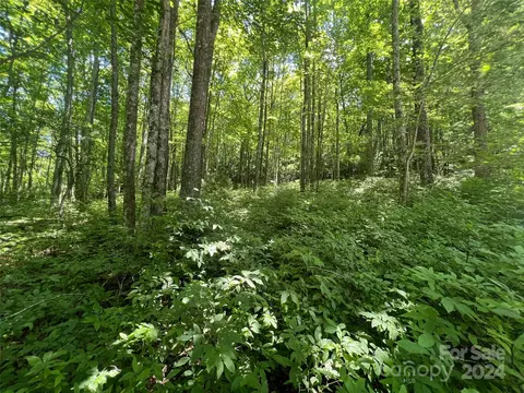 000 Courtney Ct, Brevard, NC 28712