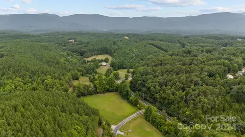 3500 Silver Creek Rd, Mill Spring, NC 28756 photo 38