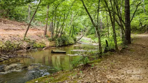 3500 Silver Creek Rd, Mill Spring, NC 28756 photo 34