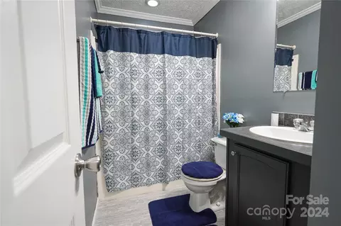 Bath - 131 Mayflower Ln, Sylva, NC 28779 photo 3 of 3