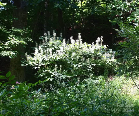 Other - 15281 Betsys Gap Rd, Clyde, NC 28721 photo 14 of 19