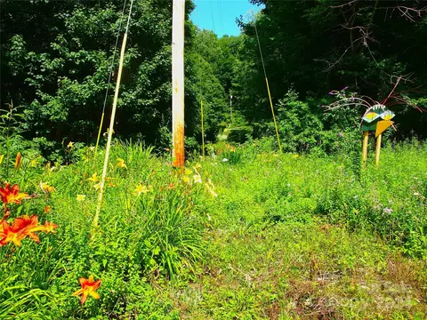 Exterior - 15281 Betsys Gap Rd, Clyde, NC 28721 photo 17 of 18