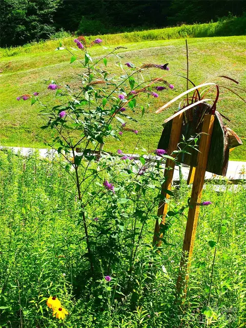 Other - 15281 Betsys Gap Rd, Clyde, NC 28721 photo 19 of 19