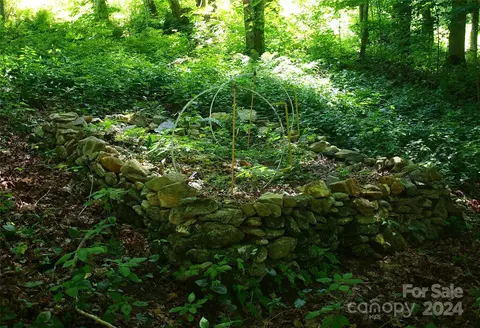 Other - 15281 Betsys Gap Rd, Clyde, NC 28721 photo 13 of 19