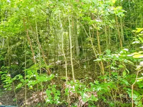 45 Forest Hills 45r Rd # R, Bryson City, NC 28713