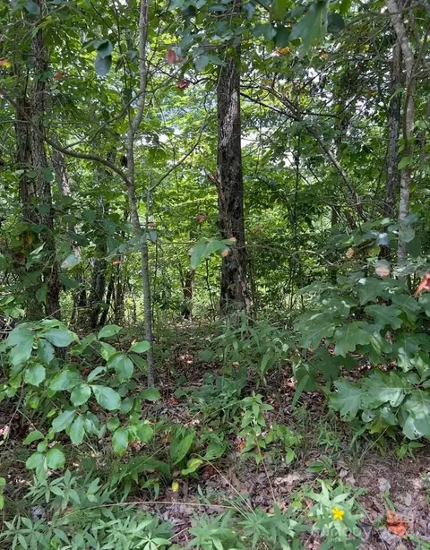 78 Mountain Lookout Drive #78, Bostic, NC 28018