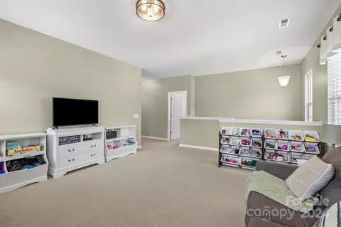 1181 Gold Rush Ct, Fort Mill, SC 29708 photo 23