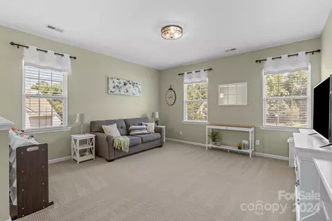 1181 Gold Rush Ct, Fort Mill, SC 29708 photo 22