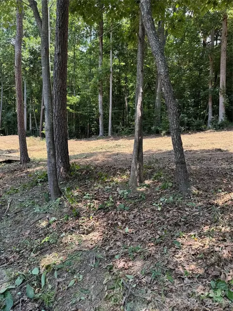 8733 Holdsclaw Rd, Terrell, NC 28682 photo 11