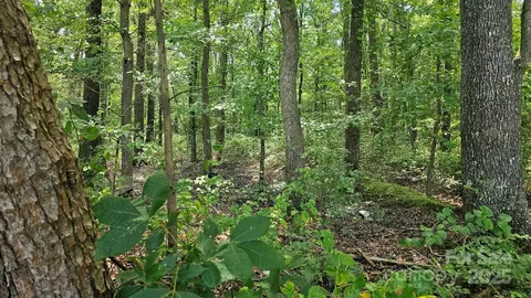 1450 Pork Rd, Peachland, NC 28133