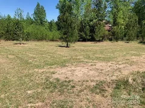 3482 Angelus Rd, Chesterfield, SC 29709